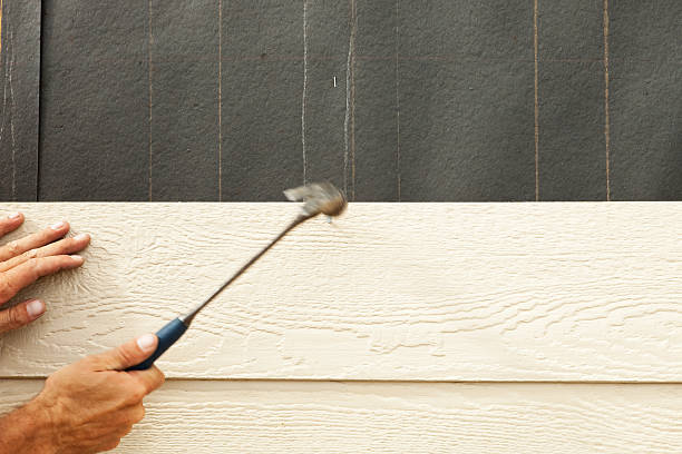 Best Siding Painting and Refinishing  in Evansdale, IA